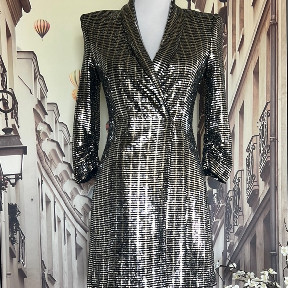 Zara Silver Sheath Dress Long Sleeve V-neck